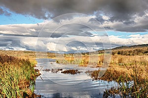 Reeds and water at Leighton Moss, Lancashire photo