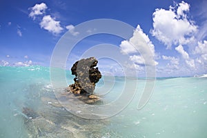 Reef above water of turquoise lagoon