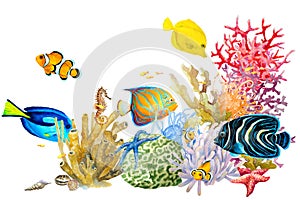 Reef with colorful corals, fish, sponge, anemones, starfish on a white background, hand drawn watercolor