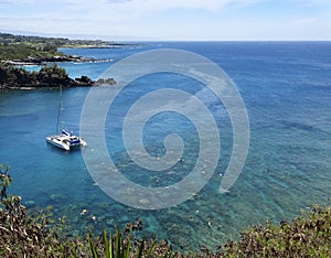 A Reef Popular for Snorkeling, Honolua Bay, Maui, Hawaii