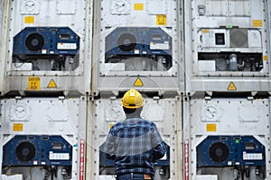 Reefer technician is taking care of reefer container at the port while working with tablet to monitor Frozen and Chill