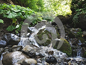 ÃÂ¡reek in a mountain forest. Caucasus mountains photo