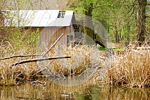 Reelfoot Lake Cabins