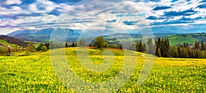 Reen dandelion spring meadow. Tatra mountains panorama