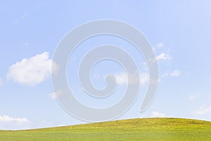 Reen grass on blue clear sky, spring nature theme