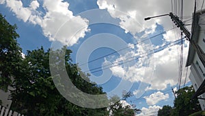 Reen Trees leaf Against Blue Sky and clound at front garden Concept. Look Up View