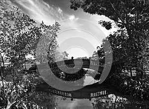 Refection of bridge in park