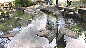 Refelction of Two People Walk Crossing Footpath on Natural Stone Pond. Water Ripple on Peaceful Pond