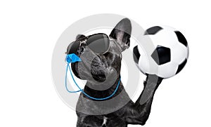 Referee dog with whistle