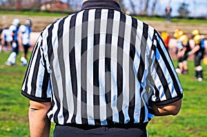 Referee of the futball match