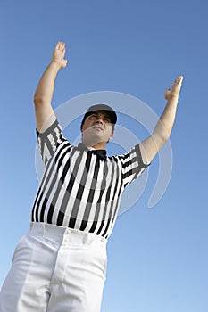 Referee Gesturing Homerun photo