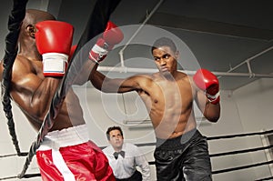 Referee Watching Boxers Fight In The Ring