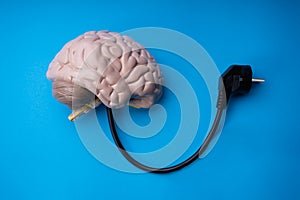 Refill Brain Intelligence With Socket Plug