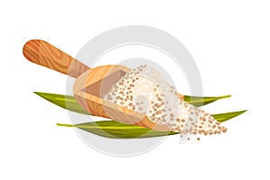 Refined Brown Sugar Rested in Wooden Spoon with Sugarcane Leaf Vector Illustration