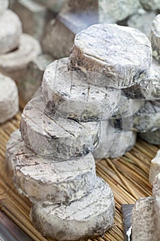 Refined French goat cheese at the specialty cheese shop
