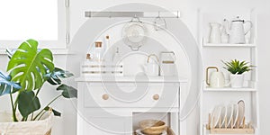 Refined kitchen cabinet with various utensils. Storage and organizing concept photo