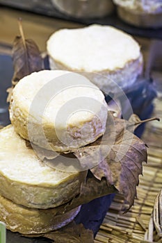 Refined Pelardon goat cheese on leaf for display