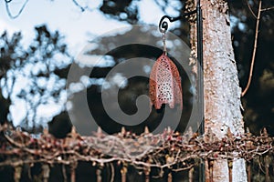 Refined street lamp photo