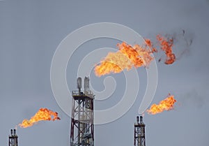 Refinery fire gas torch