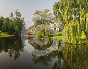 Reflecctions in the water