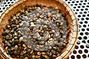 Reflect coffee beans robusta in thailand