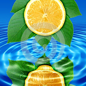 Reflect lemon-slice and leaf in water