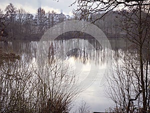 Reflected bare winter trees in a lake in North Yorkshire, England