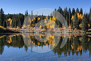 Reflected evergreens and golden aspens