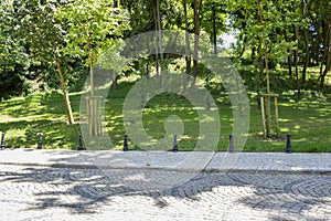 Reflected in the frame from the green park