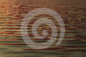 Reflected sun rays on sea water. Glare on the water Natural abstract background of sea water