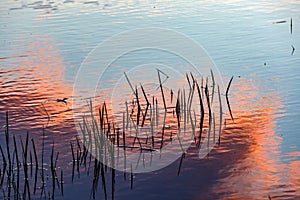 Reflected sunset on the water