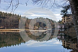 Reflected in the water