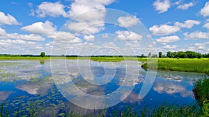 Reflecting clouds, carlos avery photo