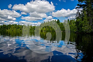 Reflecting clouds and forest, sawbill lake, bwcaw