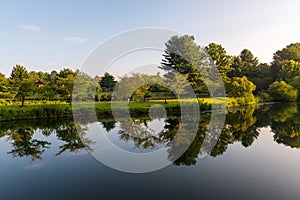 A Reflecting Lake in a Park
