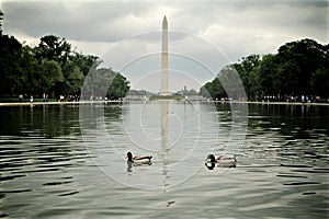 Reflecting Pool