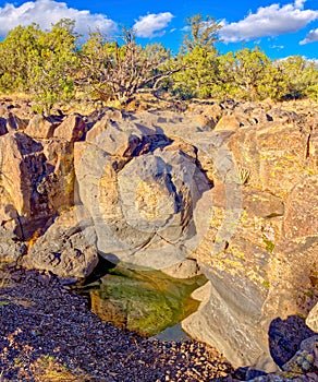 Reflective pool of water in MC Canyon Arizona