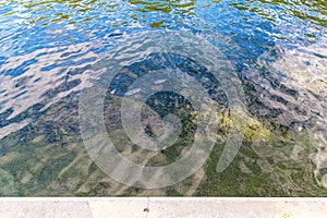 Reflecting pool Hermann Park Houston Texas USA