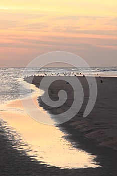 Reflecting sunset at Ameland beach, the Netherlands photo