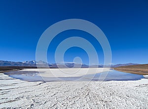 Reflection of Andes mountain range in Maricunga Salt Lake