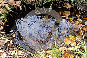 Reflection of autumn