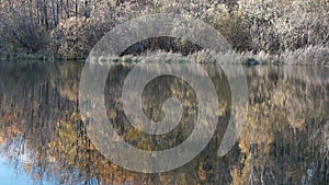 Reflection of autumn foliage in the lake