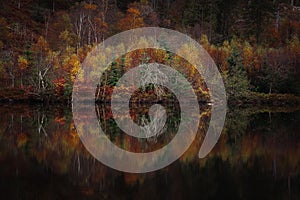 Reflection of autumn forest in lake