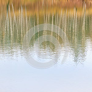 Reflection of autumn forest in the lake. Abstract colorful blurred bright fall background