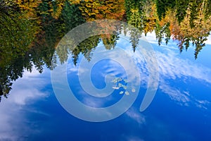 Reflection of the autumn forest in the mirror of the lake
