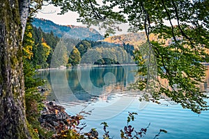 Reflection of autumn forest on the surface of the water in a lake in the mountains in the Alps from the shore