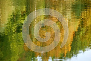 Reflection of the autumn landscape with trees in the pond.The yellowed crowns of trees are a beautiful reflection in the water. Im