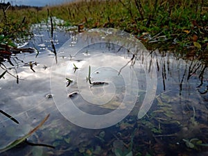 Reflection of autumn, in a puddle views of the clouds and all the beauty of nature