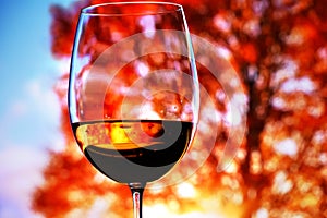 Reflection of autumn sunny landscape in a glass with wine against the backdrop of a colorful canopy tree in the sunlight.