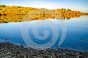 Reflection of autumn trees on lake